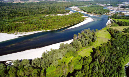 Auguri Parco del Ticino per i tuoi 50 anni!