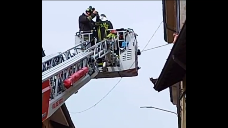 Gatto acrobata a Magenta, i vigili del fuoco intervengono prontamente per salvarlo, ma lui li saluta e scappa via.