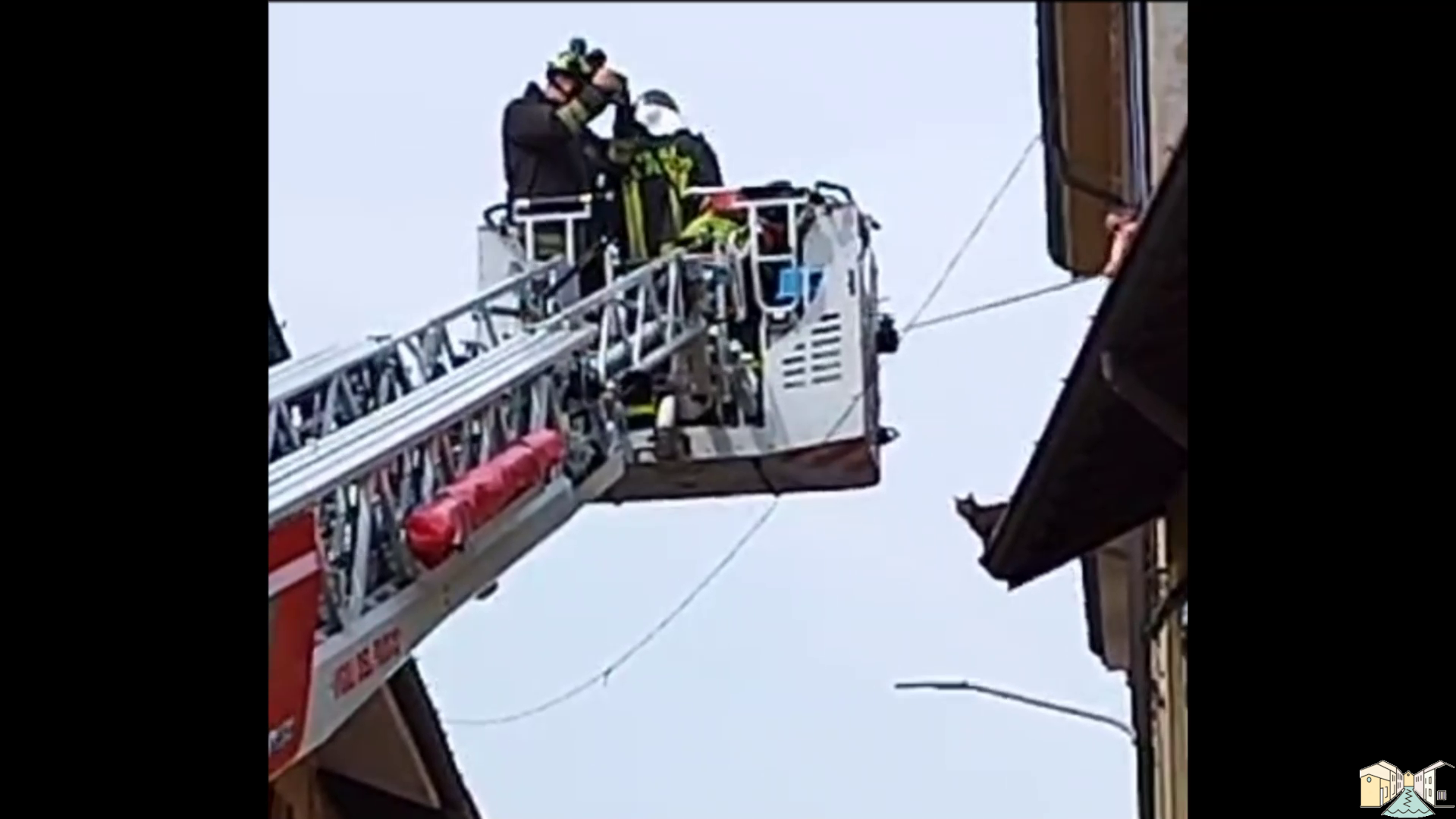 Gatto acrobata a Magenta, i vigili del fuoco intervengono prontamente per salvarlo, ma lui li saluta e scappa via.