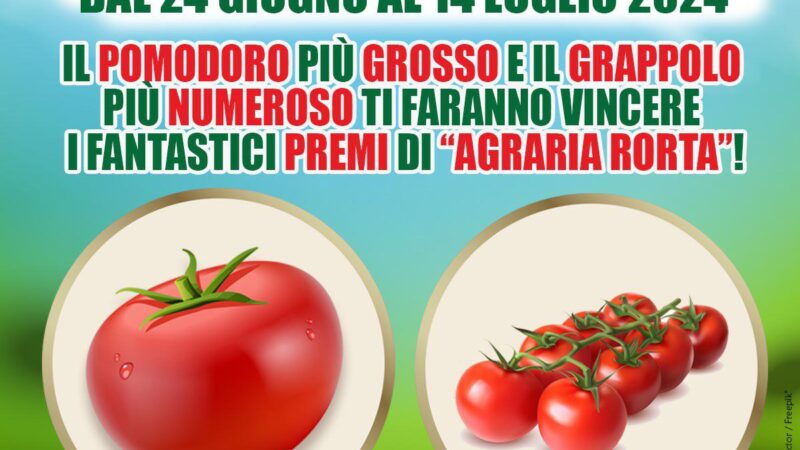 Pomodoro più grosso o grappolo più numeroso, a Magenta l’Agraria Rota organizza un concorso per gli appassionati di orto