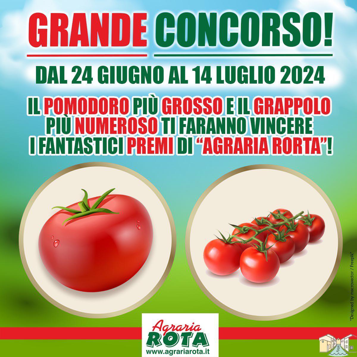 Pomodoro più grosso o grappolo più numeroso, a Magenta l’Agraria Rota organizza un concorso per gli appassionati di orto