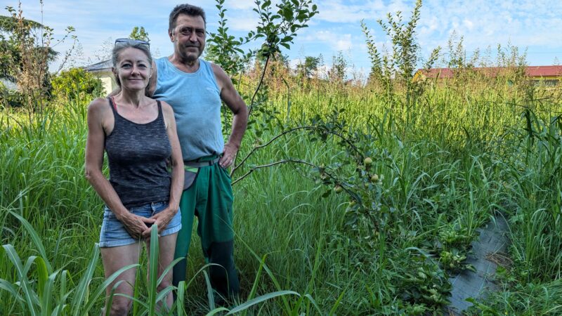 Azienda Agricola L’Urtaja: Un Viaggio dalla Città alla Campagna