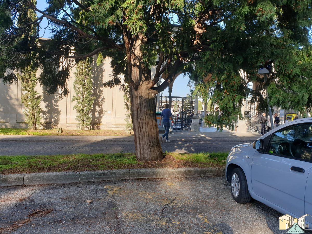 Cimiteri presi d’assalto nel giorno dei morti, prima e dopo è il deserto totale