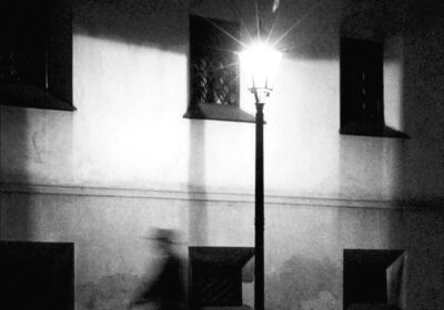 Emanuele Torreggiani: “Il grano cresce la notte”. Un’immersione profonda nel suo universo narrativo