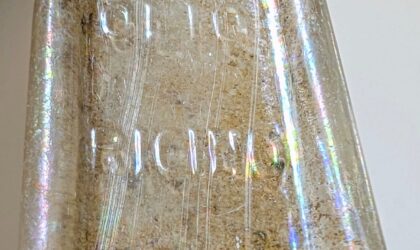 L’olio miracoloso: di Emanuele Torreggiani