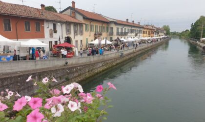 Tg Naviglioparlante a Boffalora Ticino lungo la strada alzaia per ‘Boffalora in fiore’